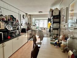 Blk 233 Bras Basah Complex (Central Area), HDB 4 Rooms #548492671